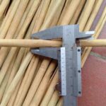 long-cassia-sticks-1