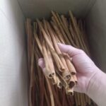 long-cassia-sticks-2