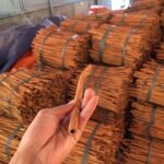 long-cassia-sticks-3